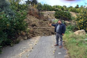 70 d&ouml;n&uuml;m narenciye bah&ccedil;esi zarar g&ouml;rd&uuml;