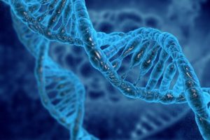 DNA yaşam s&uuml;resi hakkında ipu&ccedil;ları veriyor