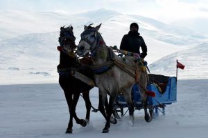 &Ccedil;ıldır'ın atlı kızaklarına Doğu Ekspresi dopingi
