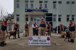 H&uuml;k&uuml;ml&uuml; olduğu cezaevinin telefonundan dolandırıcılık yaptı