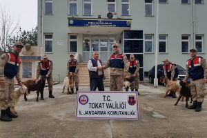 Dolandırıcılıktan cezaevine girdi, yine dolandırdı