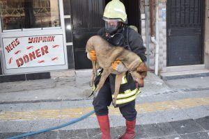 Yangında mahsur kalan 2 kişi ve k&ouml;pek kurtarıldı