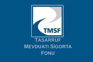 TMSF iki şirketi satışa &ccedil;ıkardı