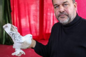 Bu g&uuml;vercinler 100 bin liraya kadar alıcı buluyor