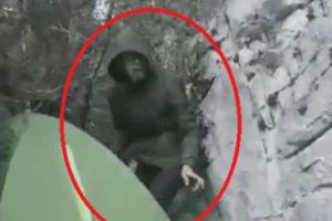 G&uuml;nlerdir aranıyordu, en son b&ouml;yle g&ouml;r&uuml;nt&uuml;lendi!