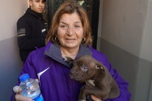 Yavru k&ouml;peği itfaiye ekipleri kurtardı