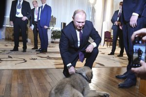 Putin'in d&ouml;rt ayaklı ordusuna yeni bir &uuml;ye eklendi