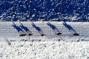 Bursa'da karlar altında dörtnala özgürlük havadan böyle görüntülendi