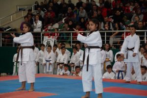 Kyokushin Karate T&uuml;rkiye Şampiyonası Bursa'da başladı