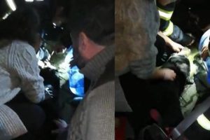 Yangından etkilenen k&ouml;pek kalp masajıyla hayata d&ouml;nd&uuml;r&uuml;ld&uuml;