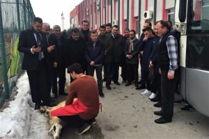 Giresunspor ma&ccedil;ı &ouml;ncesi kurban kesildi