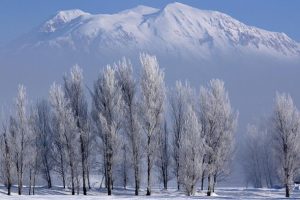 Meteorolojiden buzlanma ve sis uyarısı