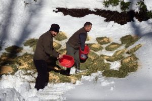 Yaban hayvanları unutulmadı
