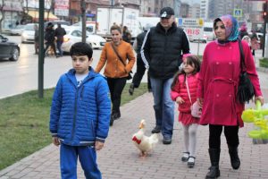 Bursa'nın metropol ördeği hayatını kaybetti