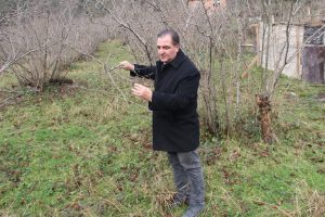 Fındıkta b&uuml;y&uuml;k tehlike: 'Kahverengi kokarca'