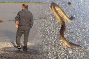 Sular &ccedil;ekildi, yılanlar ortaya &ccedil;ıktı
