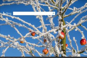 &Ccedil;in'de Microsoft'un arama motoru Bing'e erişim sağlanamıyor