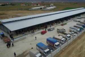 Hayvan pazarı, hastalık y&uuml;z&uuml;nden 3 hafta kapatıldı