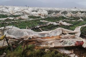 Antalya'daki hortum faciasından acı haber geldi