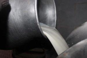 &Ccedil;iğ s&uuml;t desteğinde değişiklik! Askıda kalma s&uuml;resi...