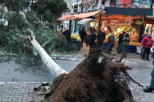 Fırtına nedeniyle ağa&ccedil;lar devrildi, &ccedil;atılar u&ccedil;tu, vapur seferleri iptal edildi