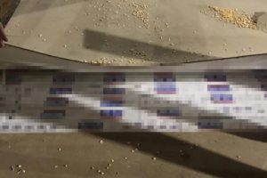 Ter&ouml;r &ouml;rg&uuml;t&uuml; PKK'nın finans kaynaklarına y&ouml;nelik operasyon
