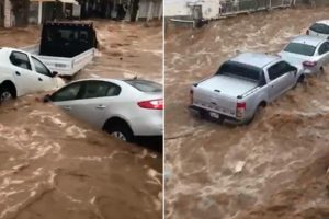 Uzman uyarısı: Ara&ccedil;tan &ccedil;ıkın, y&uuml;kseğe gidin