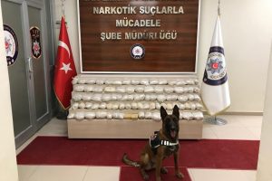 62 kilo 235 gram eroin, hassas burun 'Zeyna'ya takıldı