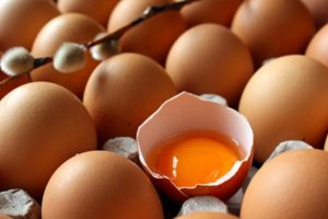 Bu tavuklar ''kanser ilacı'' yumurtluyor!