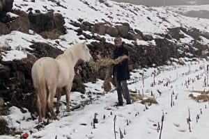 Hayvanlar a&ccedil; kalmasın diye yem torbalarını 10 kilometre sırtında taşıdı