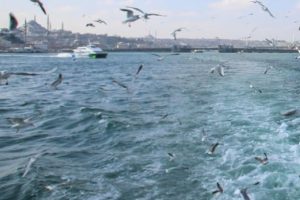 Plan yapanlara Meteoroloji'den sevindiren haber!