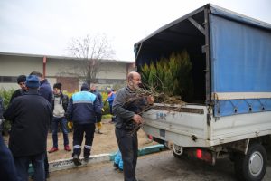 Bursa'da &uuml;cretsiz olarak dağıtılan fidanlar toprakla buluştu