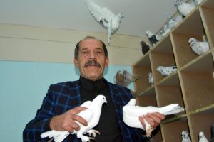 Beslediği g&uuml;vercinler i&ccedil;in yılda 50 bin lira harcama yapıyor