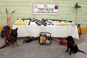 Hayvan hırsızlığı operasyonu: 16 g&ouml;zaltı