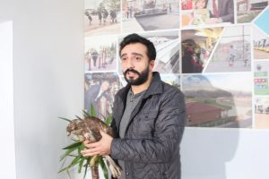 Bursa'da yolda bulunan yaralı şahin tedavi altına alındı