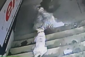 İstanbul'da fıkra gibi olay