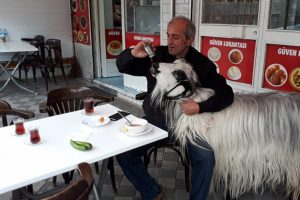 "Burada ke&ccedil;imle beraber kahvaltı ediyorduk, bir anda saldırdı"