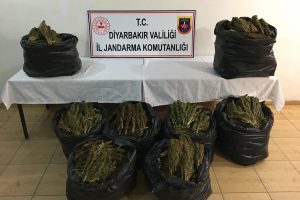 Diyarbakır'da 86 kilo 760 gram esrar ele ge&ccedil;irildi
