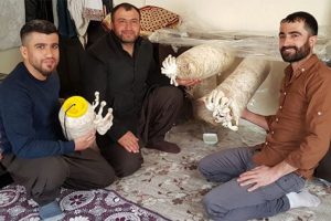 Hobi olarak başladılar! Şimdi b&ouml;lgenin ihtiyacını karşılıyorlar