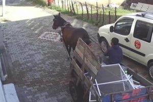 At arabalı hırsızlık ş&uuml;phelisi &ccedil;ocuklar kamerada