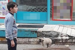 Ortaokul &ouml;ğrencisinin bu hareketi y&uuml;rekleri ısıttı