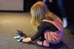 Sinema salonunda bulunan kedi &ccedil;ocukların ilgi odağı oldu