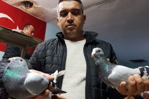 otomobil fiyatina guvercin bursada bugun bursa bursa haber bursa haberi bursa haberleri bursa