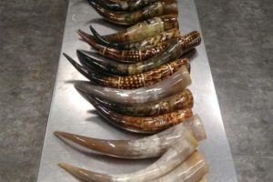 Atat&uuml;rk Havalimanı'nda ele ge&ccedil;irildi! 900 bin TL değerinde...