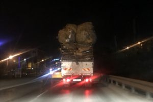 Polisten kamyon s&uuml;r&uuml;c&uuml;s&uuml;ne 'Nereye b&ouml;yle' anonsu