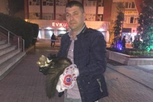 Bursa'da yol kenarında yaralı bulunan sansar tedaviye alındı
