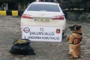 Otomobil lastiğinde 7 kilo esrar ele ge&ccedil;irildi
