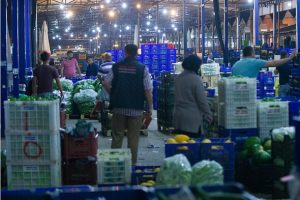 "Hortum felaketi sebze-meyve fiyatlarını etkilemedi"