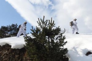 Yayla evleri didik didik aranıyor