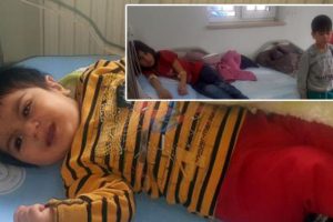 1 Yaşındaki bebek aileyi &ouml;l&uuml;mden kurtardı